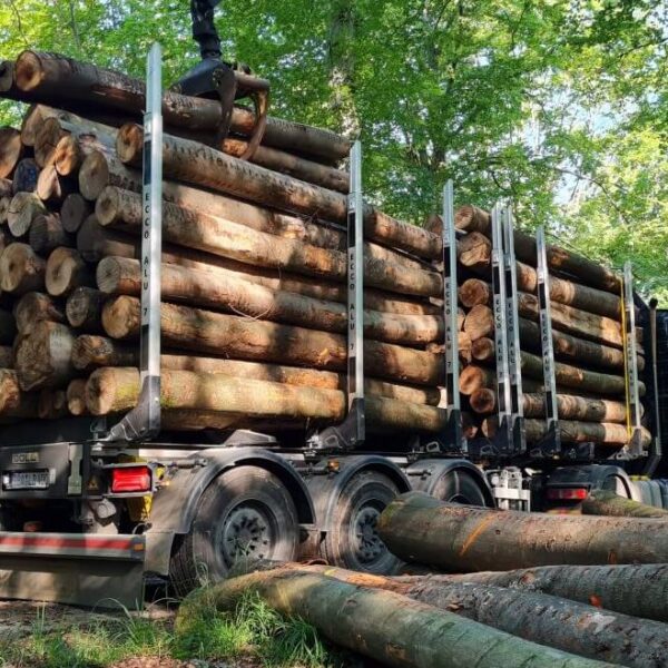Nadelholz-Stammholz — Komplette LKW-Ladung 50 Raummeter — PEFC- & FSC-zertifiziert